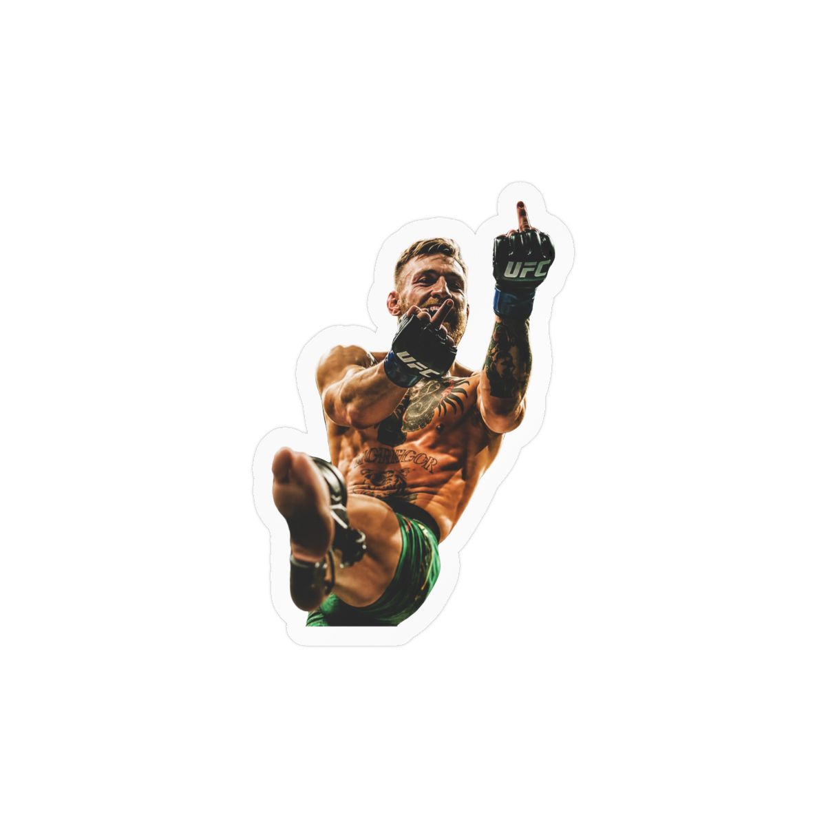 Conor McGregor Bold MMA Fighter Sticker | UFC Fan Vinyl Decal - alternate angle 2, merchandise